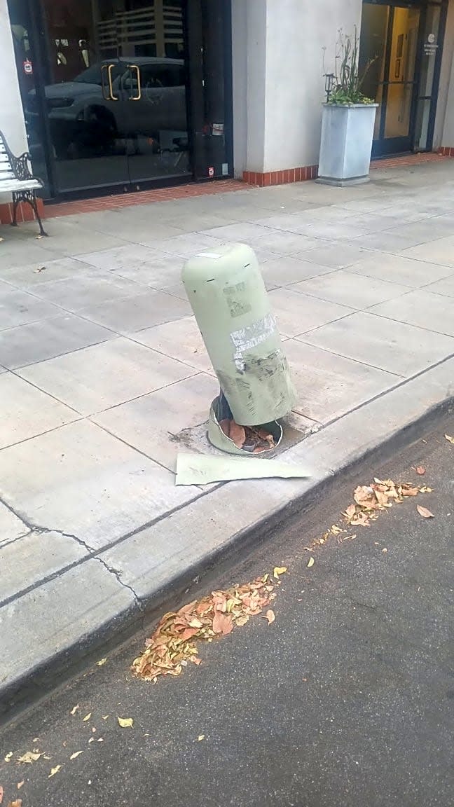 Image submitted with report