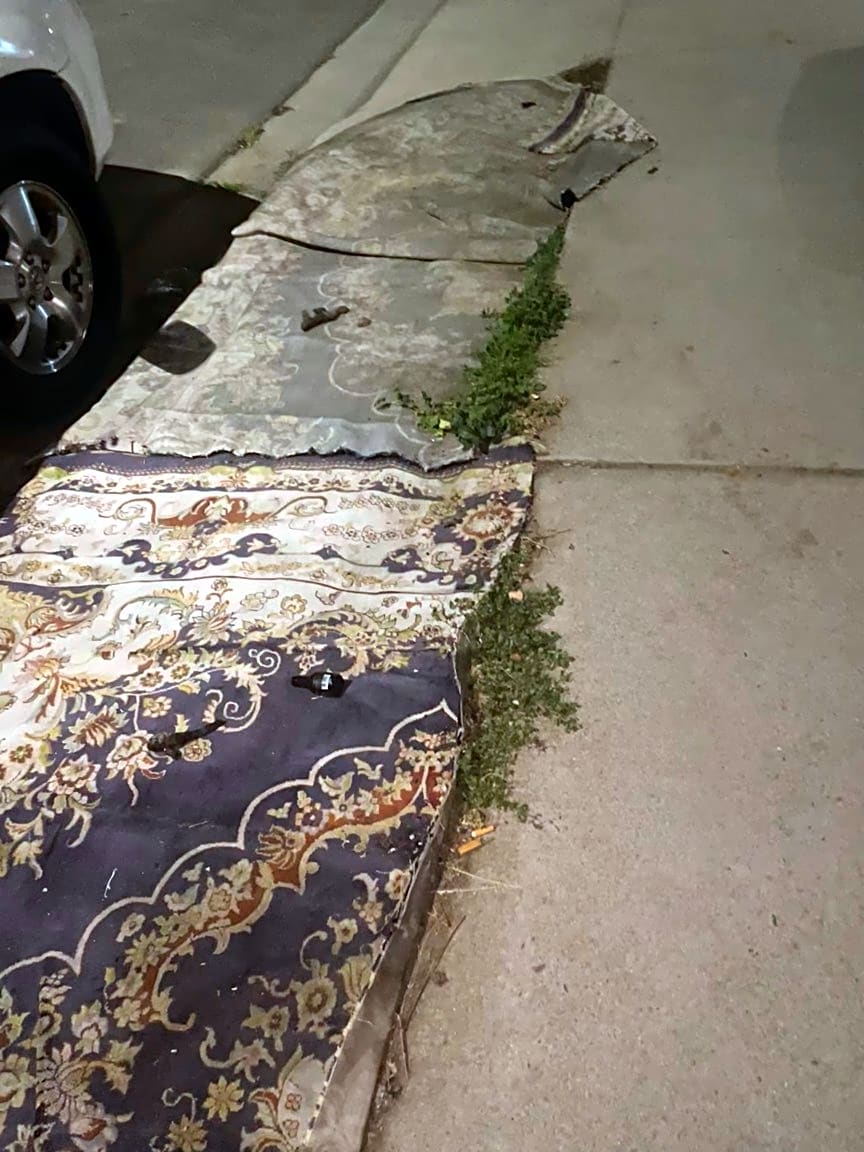 Image submitted with report
