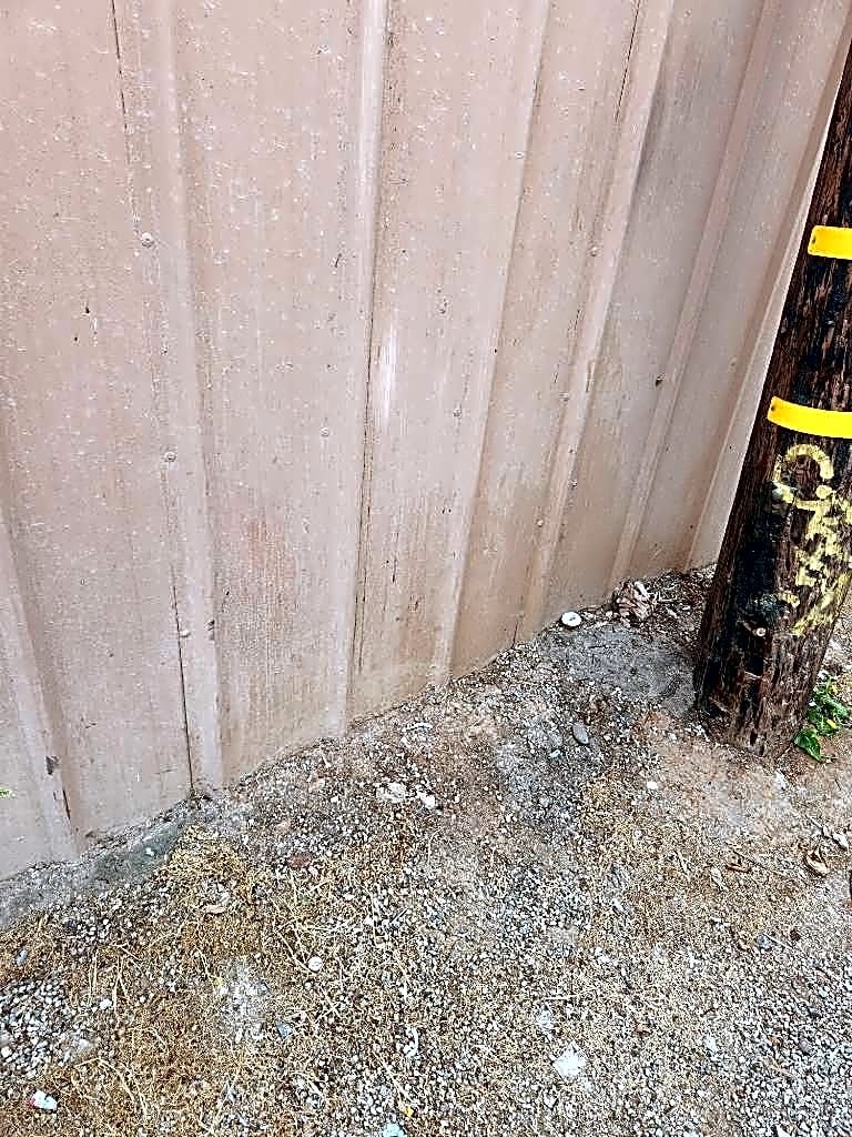 Image submitted with report