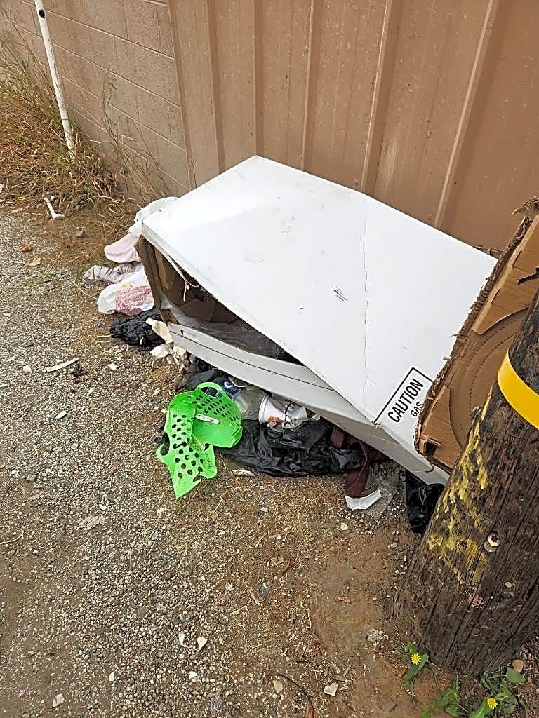 Image submitted with report
