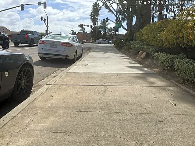 Image submitted with report