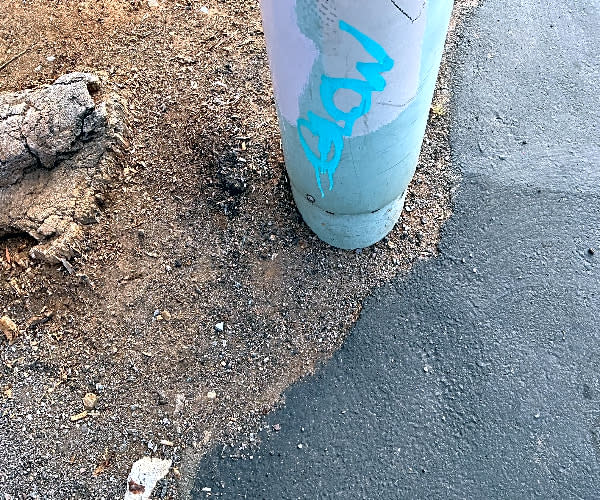 Image submitted with report