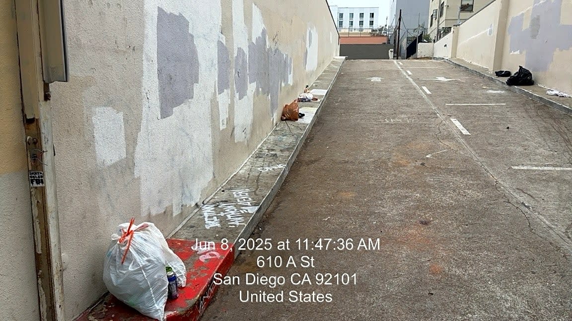 Image submitted with report