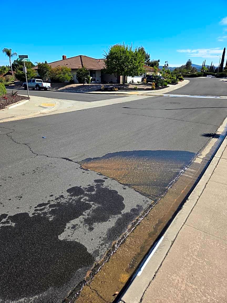 Image submitted with report