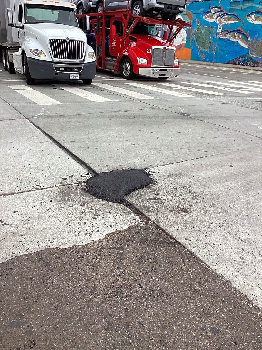 Image submitted with report