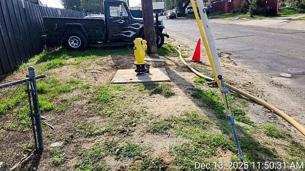 Image submitted with report