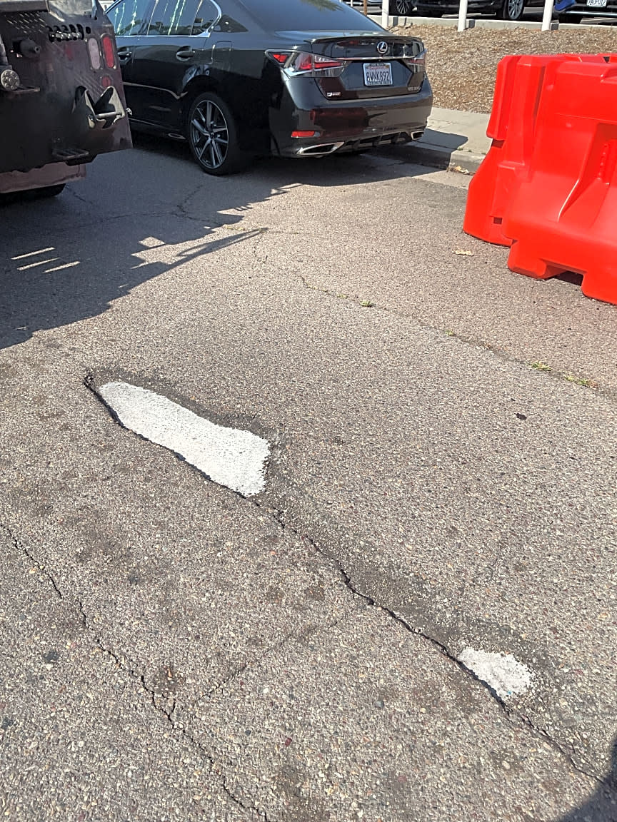 Image submitted with report