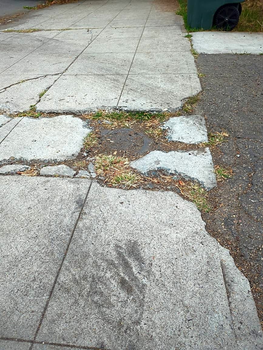 Image submitted with report