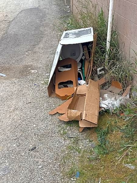 Image submitted with report