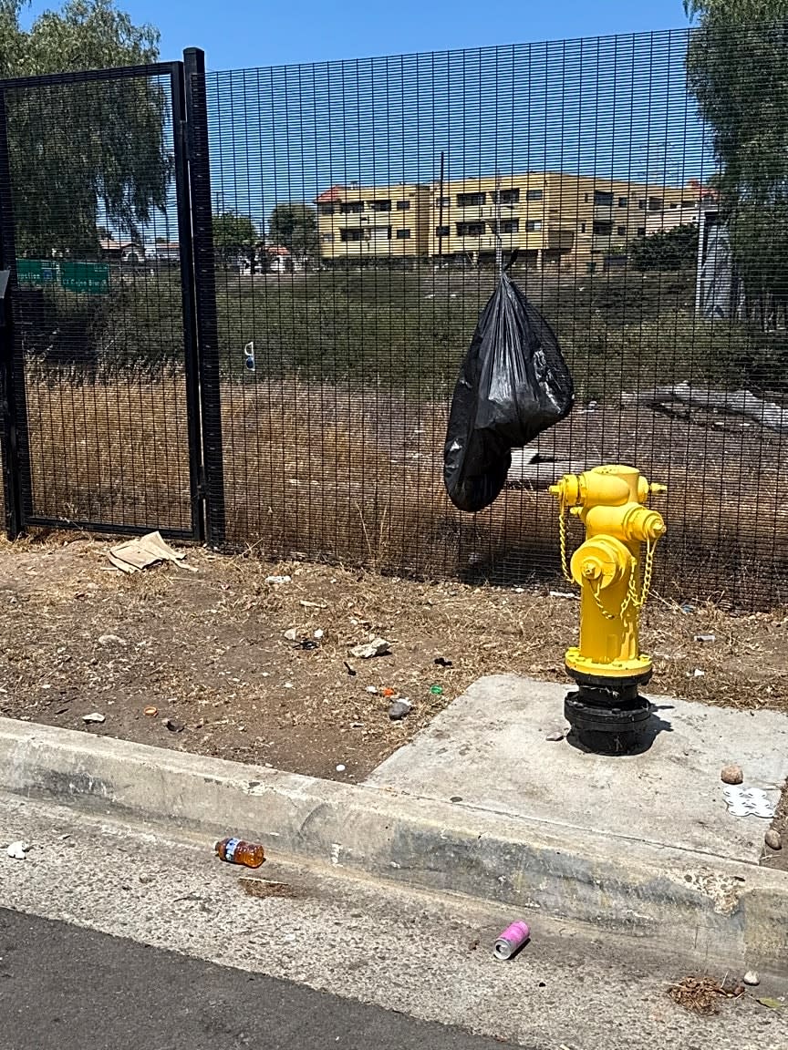 Image submitted with report
