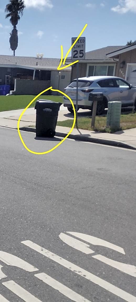 Image submitted with report