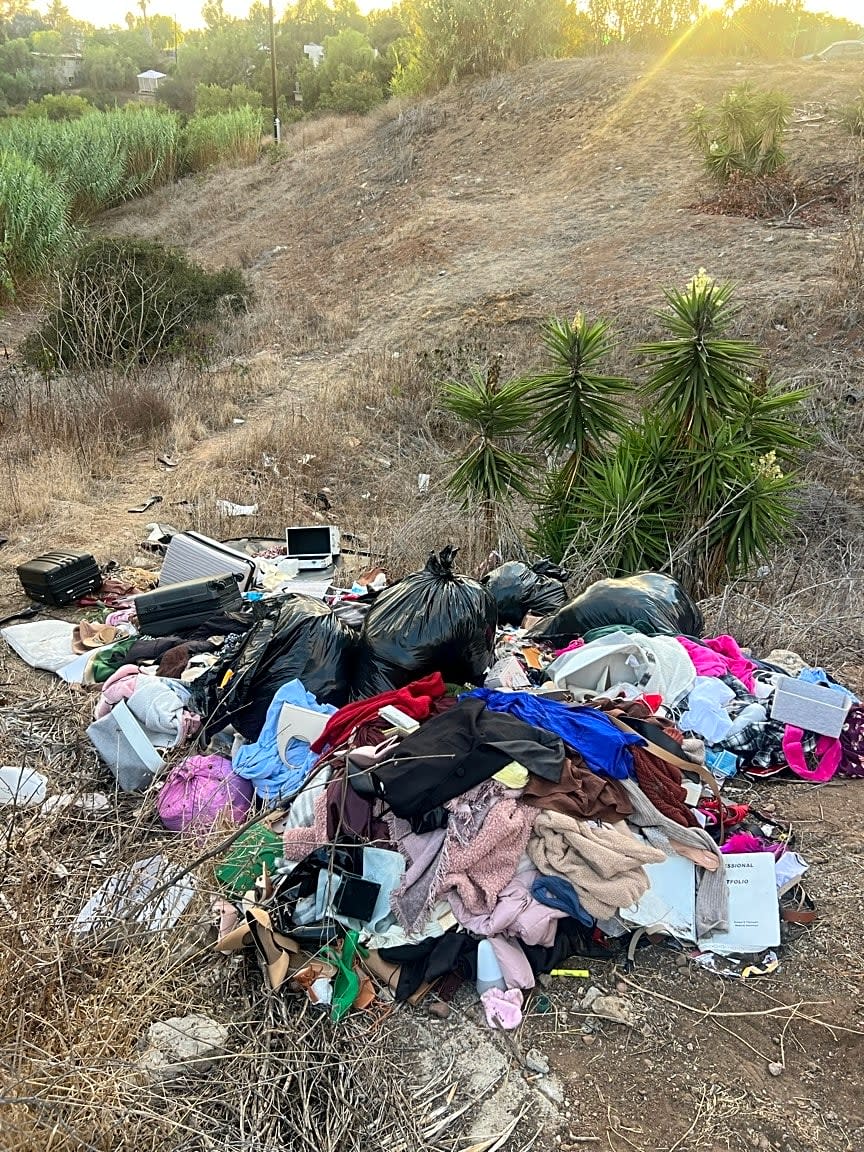 Image submitted with report
