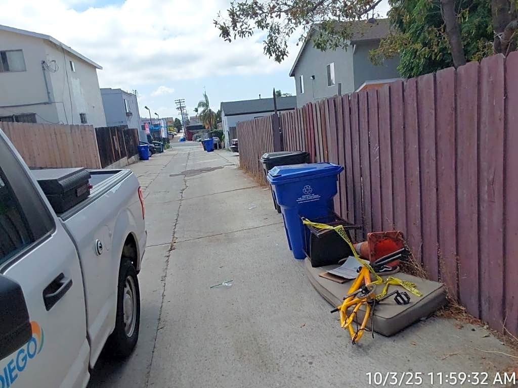 Image submitted with report