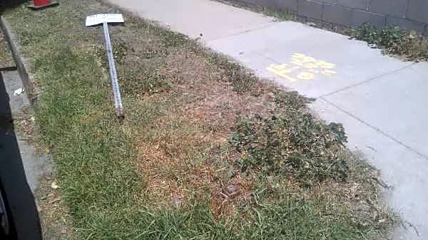 Image submitted with report
