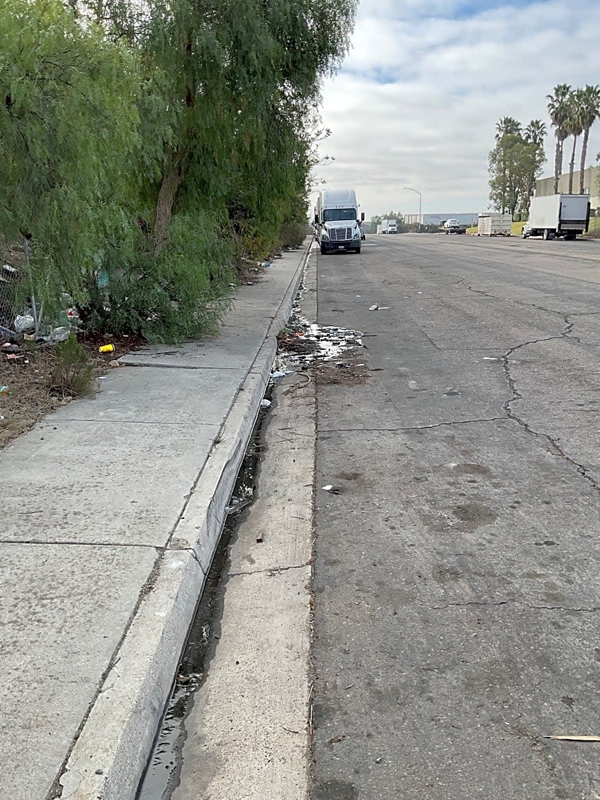 Image submitted with report