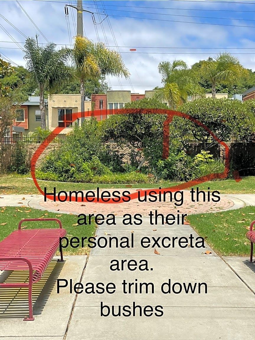 Image submitted with report