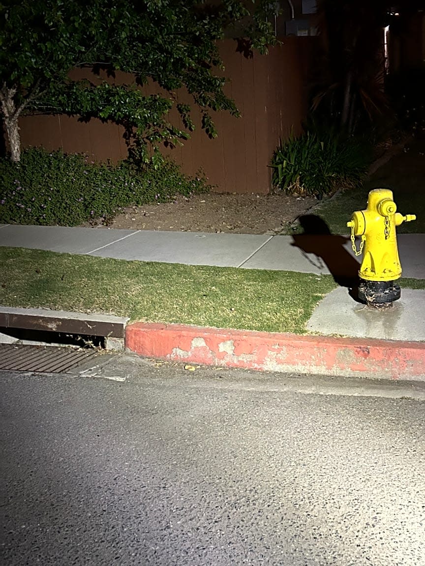 Image submitted with report