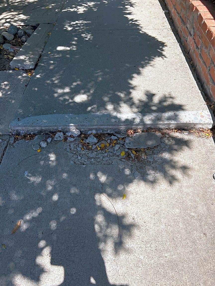 Image submitted with report