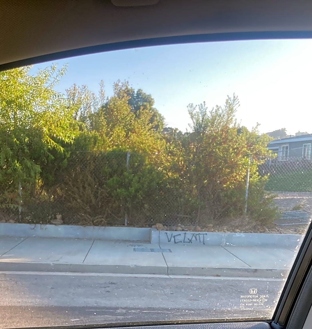 Image submitted with report