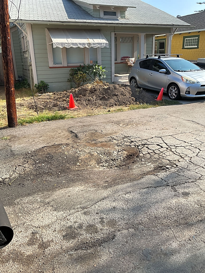 Image submitted with report