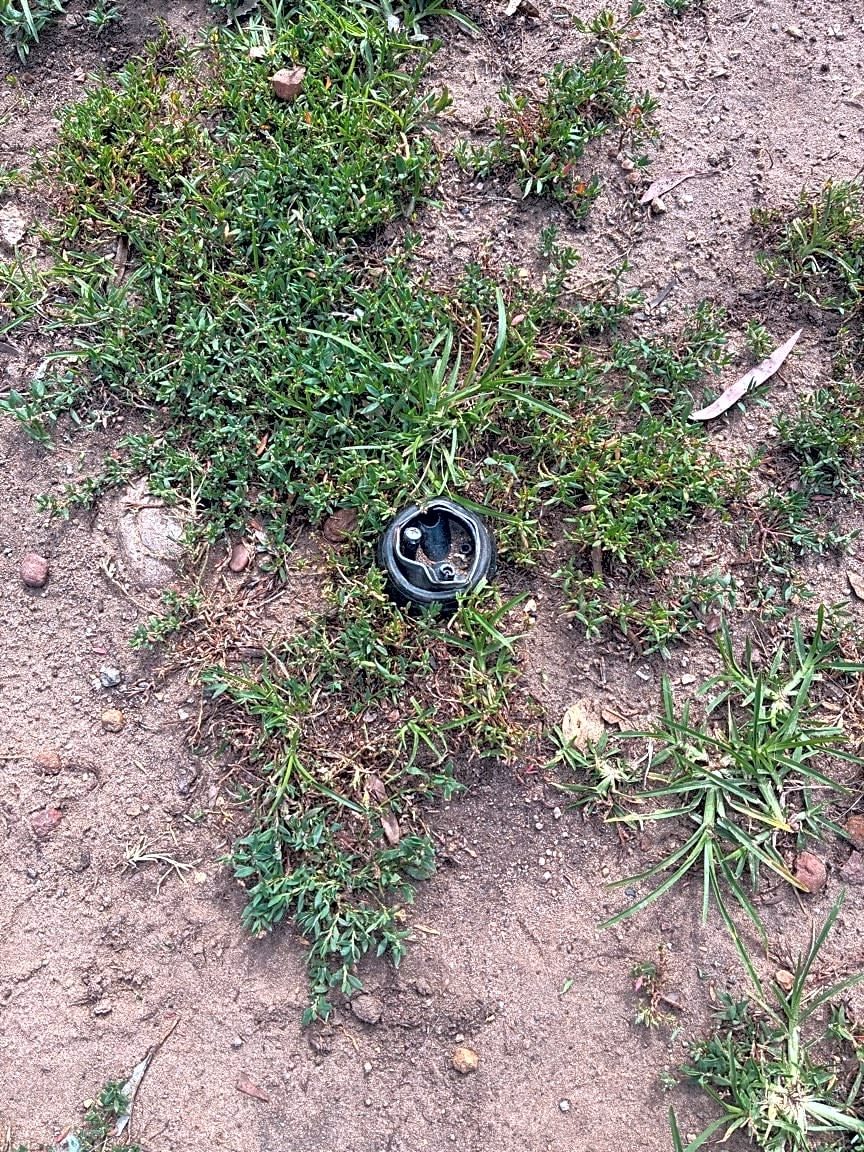 Image submitted with report