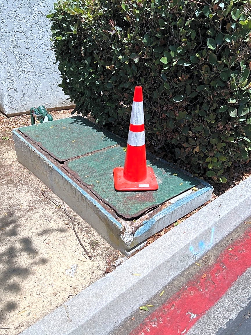 Image submitted with report