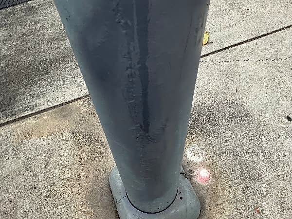 Image submitted with report