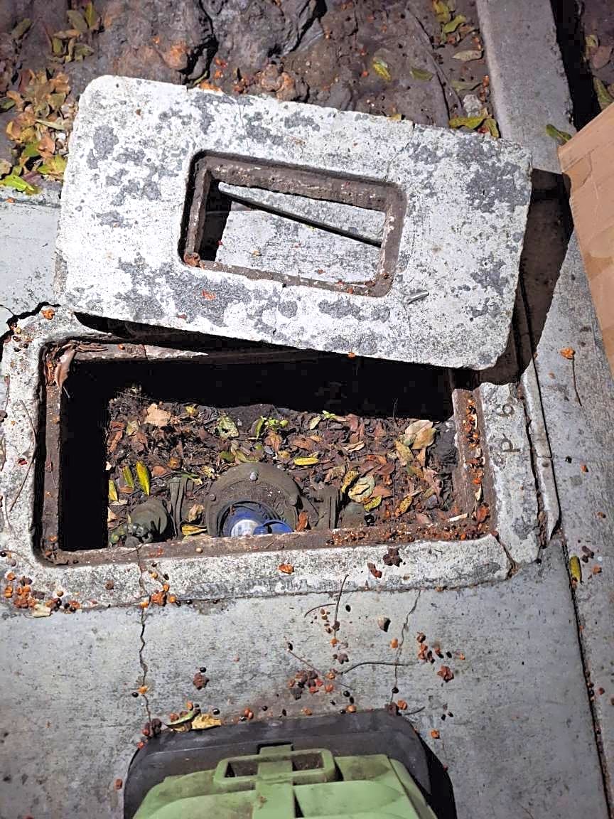 Image submitted with report