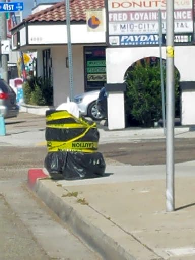 Image submitted with report