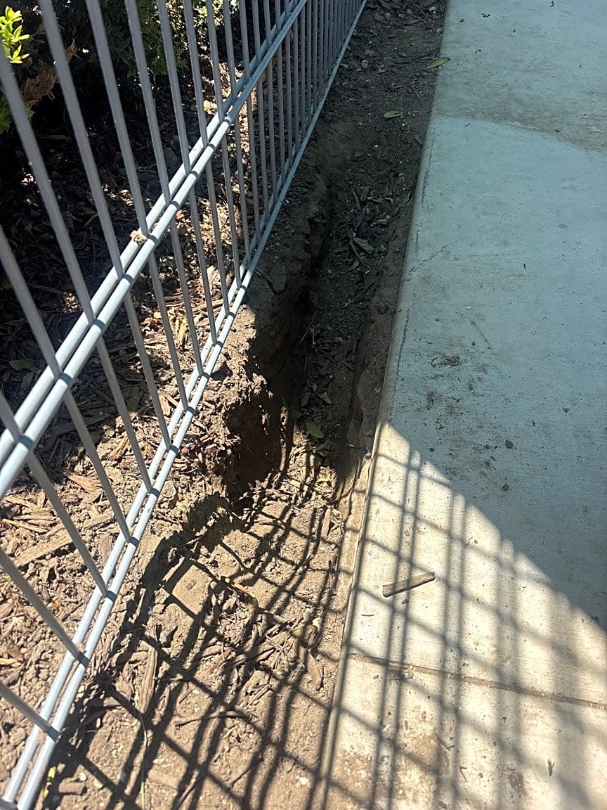 Image submitted with report