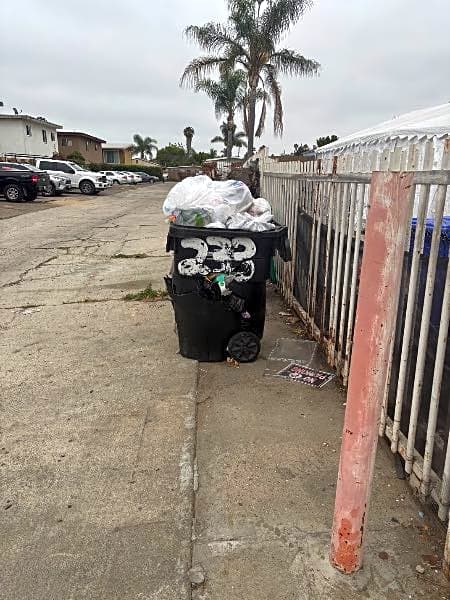 Image submitted with report