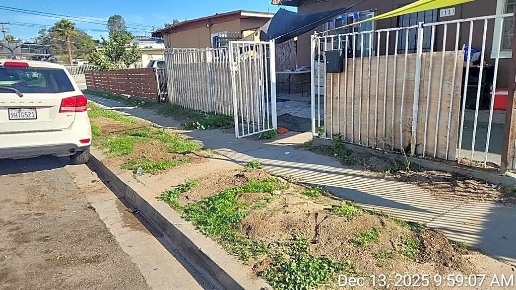 Image submitted with report