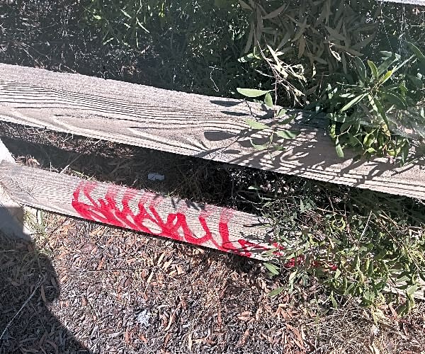 Image submitted with report