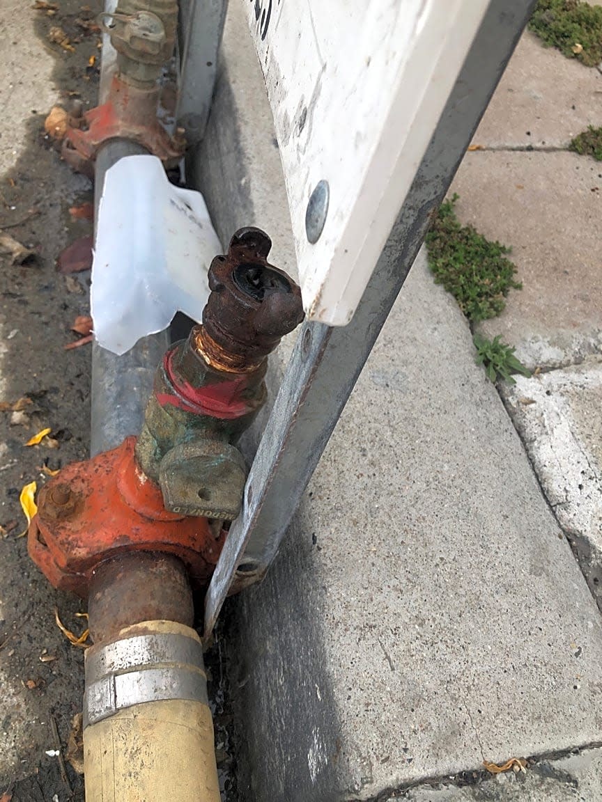 Image submitted with report