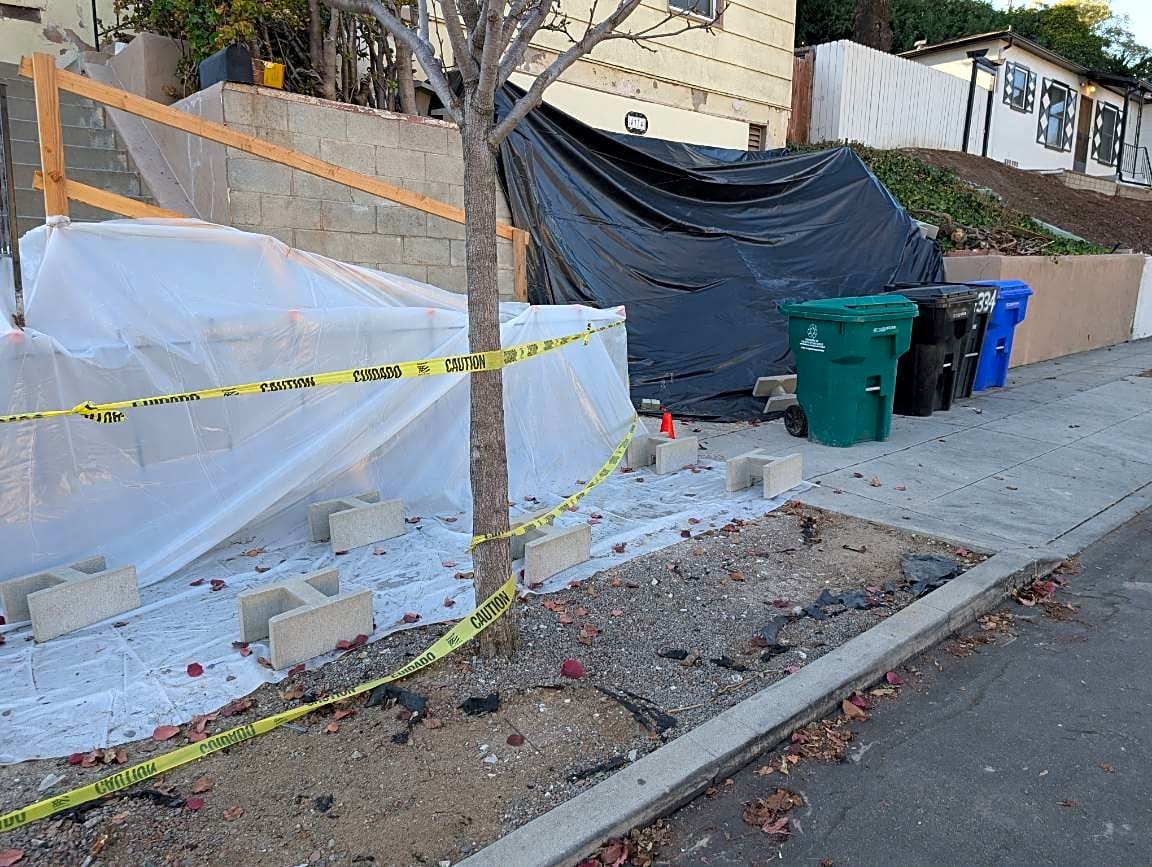 Image submitted with report