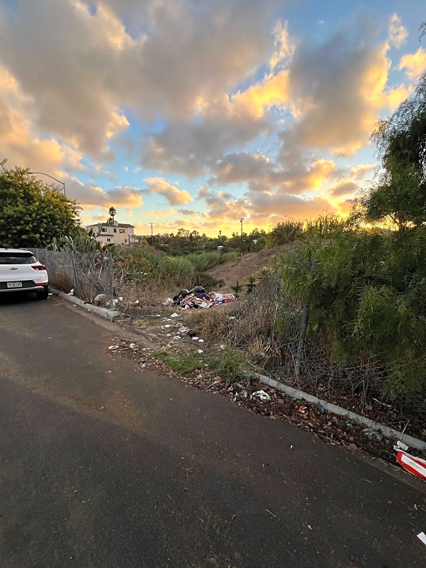 Image submitted with report